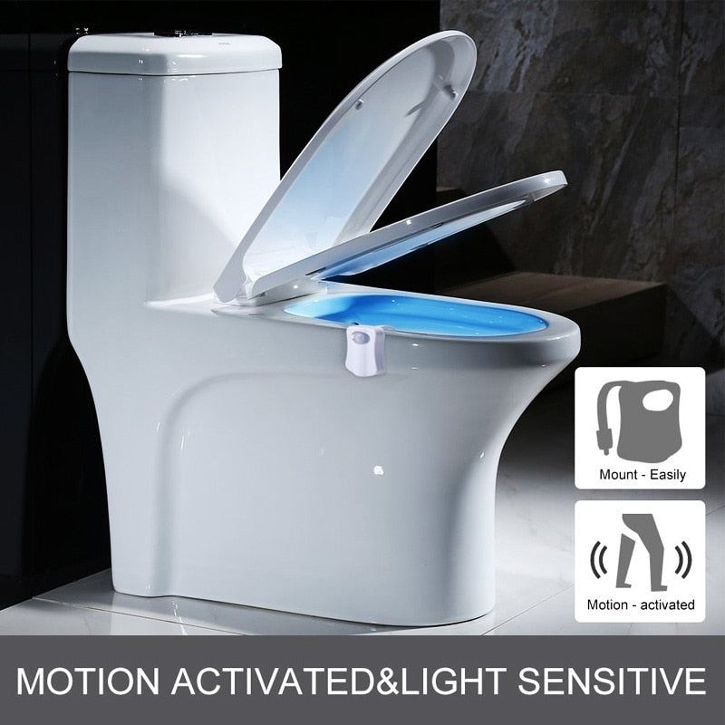 Motion Sensor Toilet Seat Light
